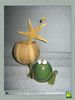 frogs_002.jpg